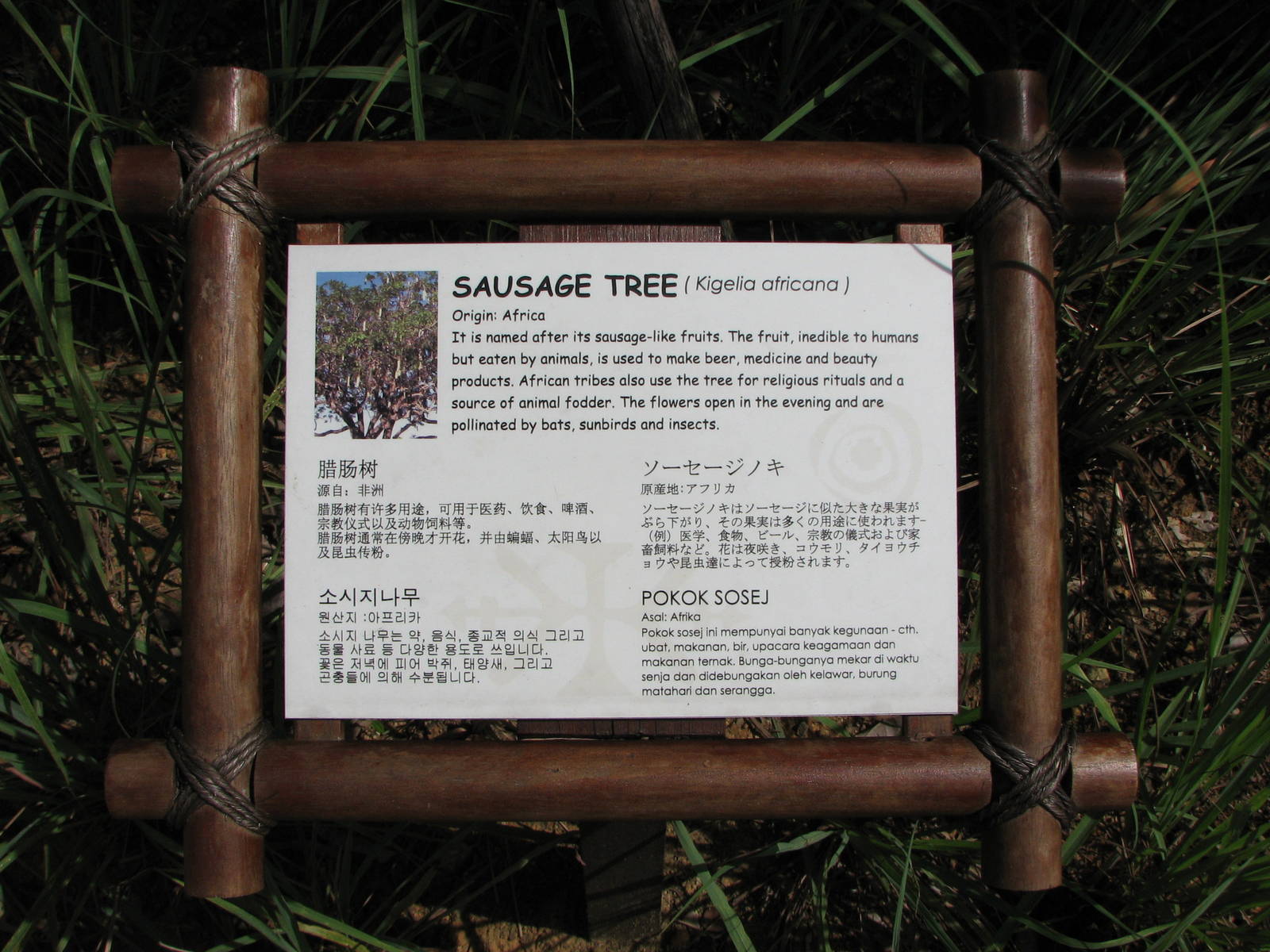 Jurong Bird Park 2008 - Sign in five languages