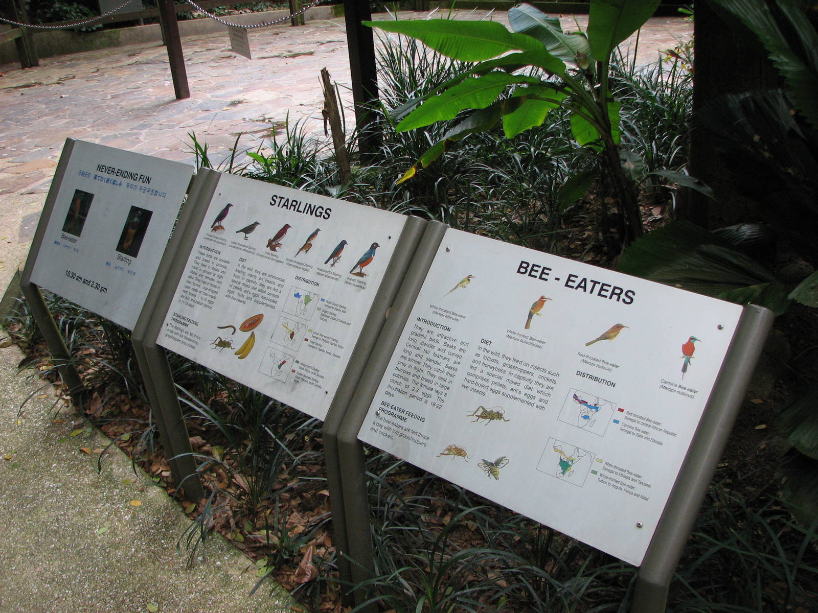 Jurong Bird Park 2008 - Species labels in the Waterfall Aviary