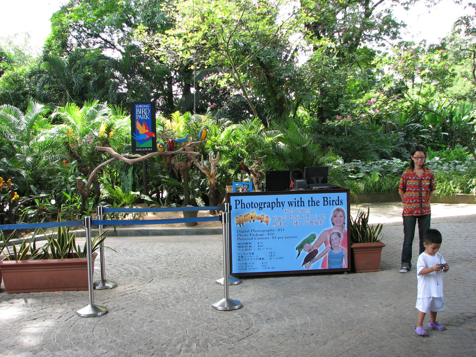 Jurong Bird Park 2008 - Stage for Visitor and Macaw photography