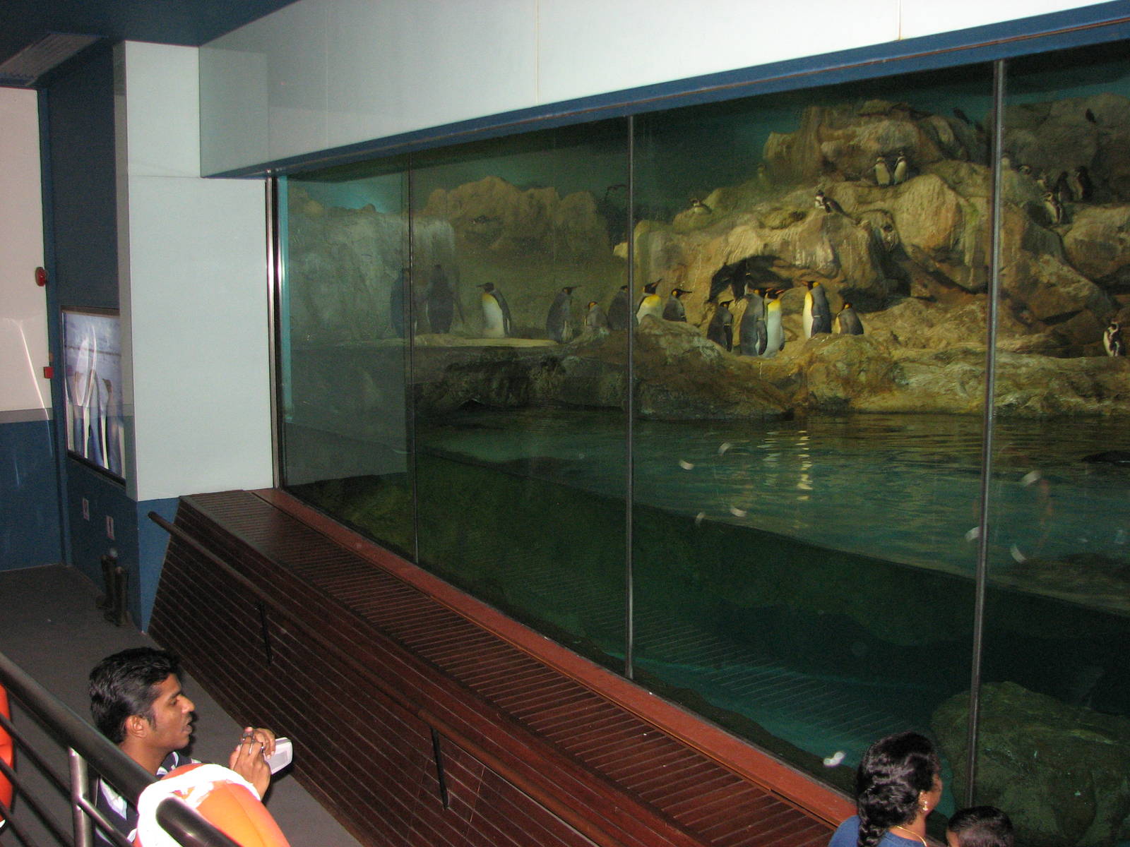 Jurong Bird Park 2008 - The second exhibit inside the Penguin Expedition