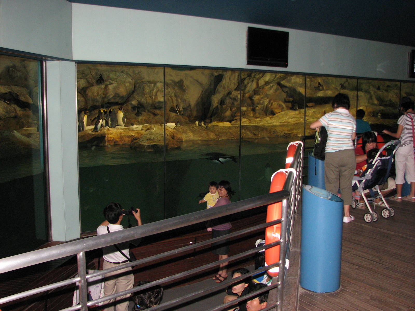 Jurong Bird Park 2008 - The second exhibit inside the Penguin Expedition