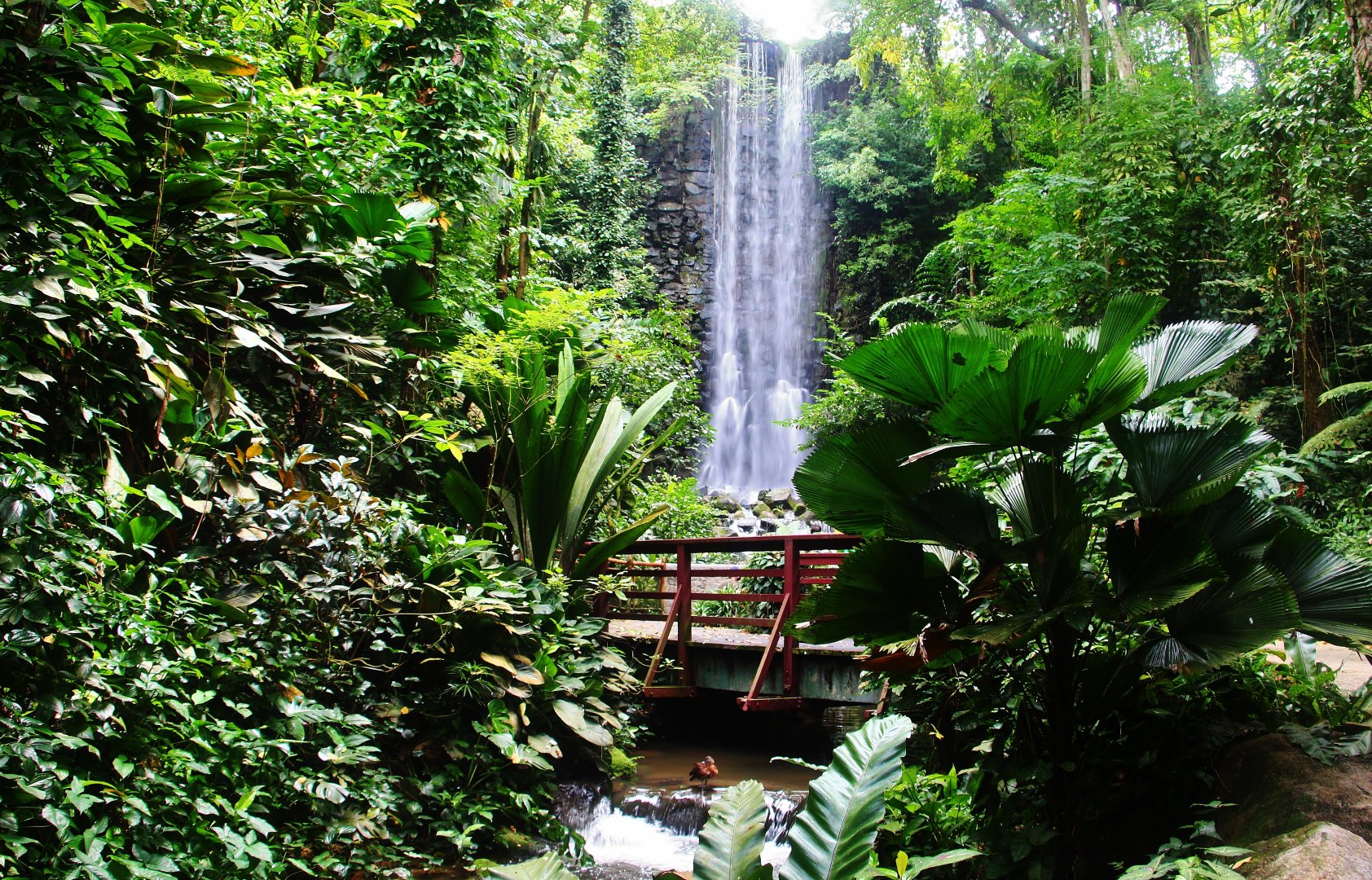 Jurong Bird Park turns 50