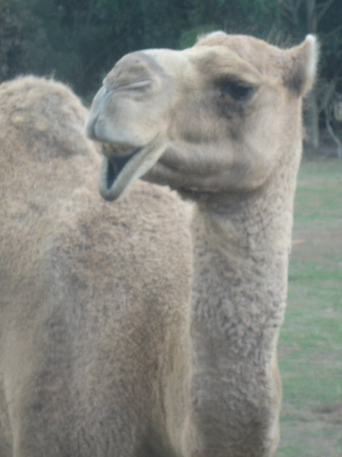 Just a few pics from Werribee.