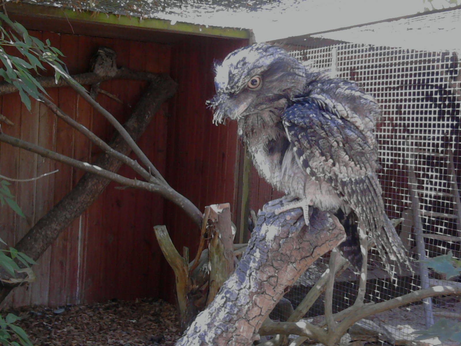 Just a few Snaps from my recent visit to the park