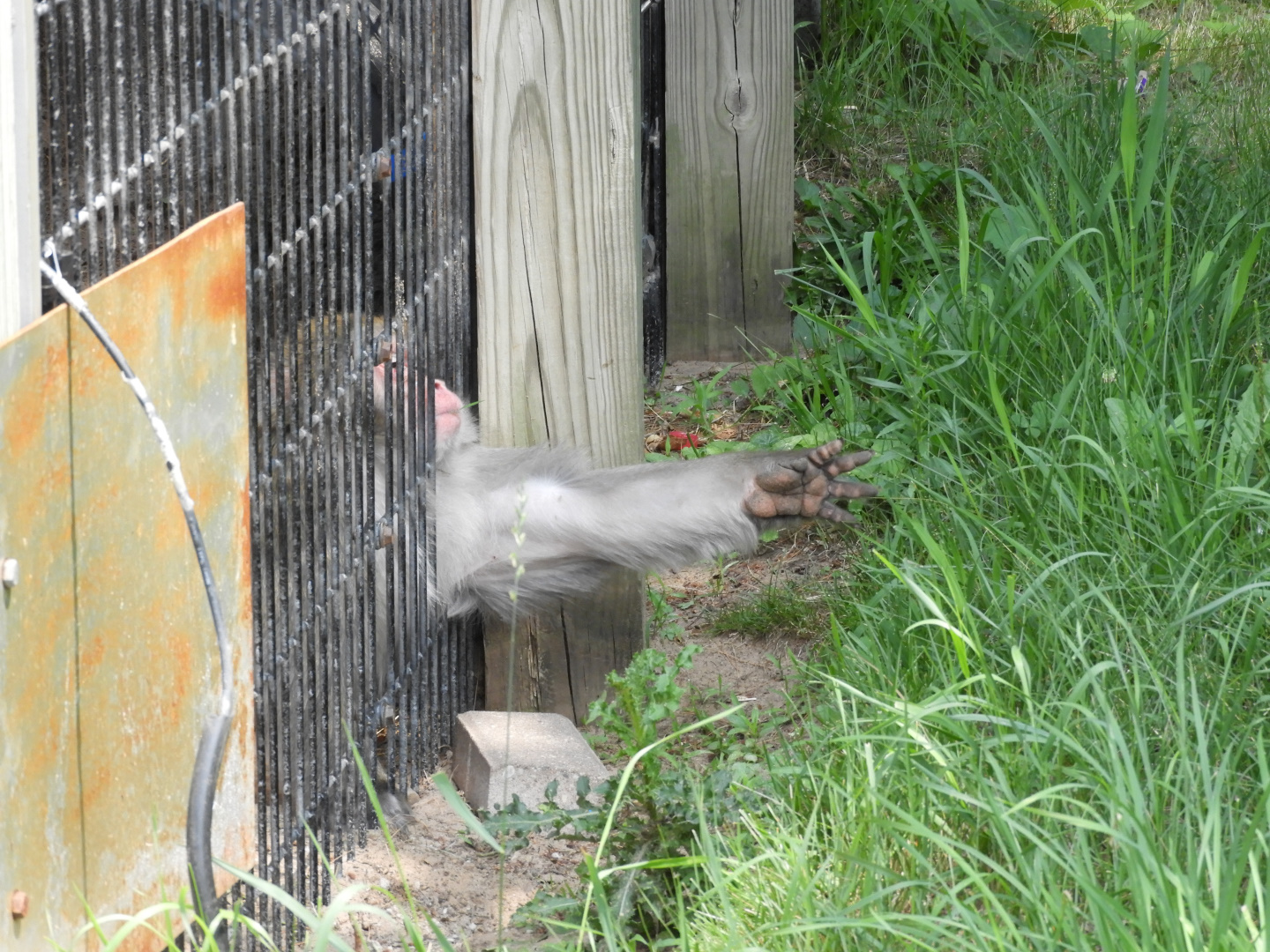 Just a little farther...