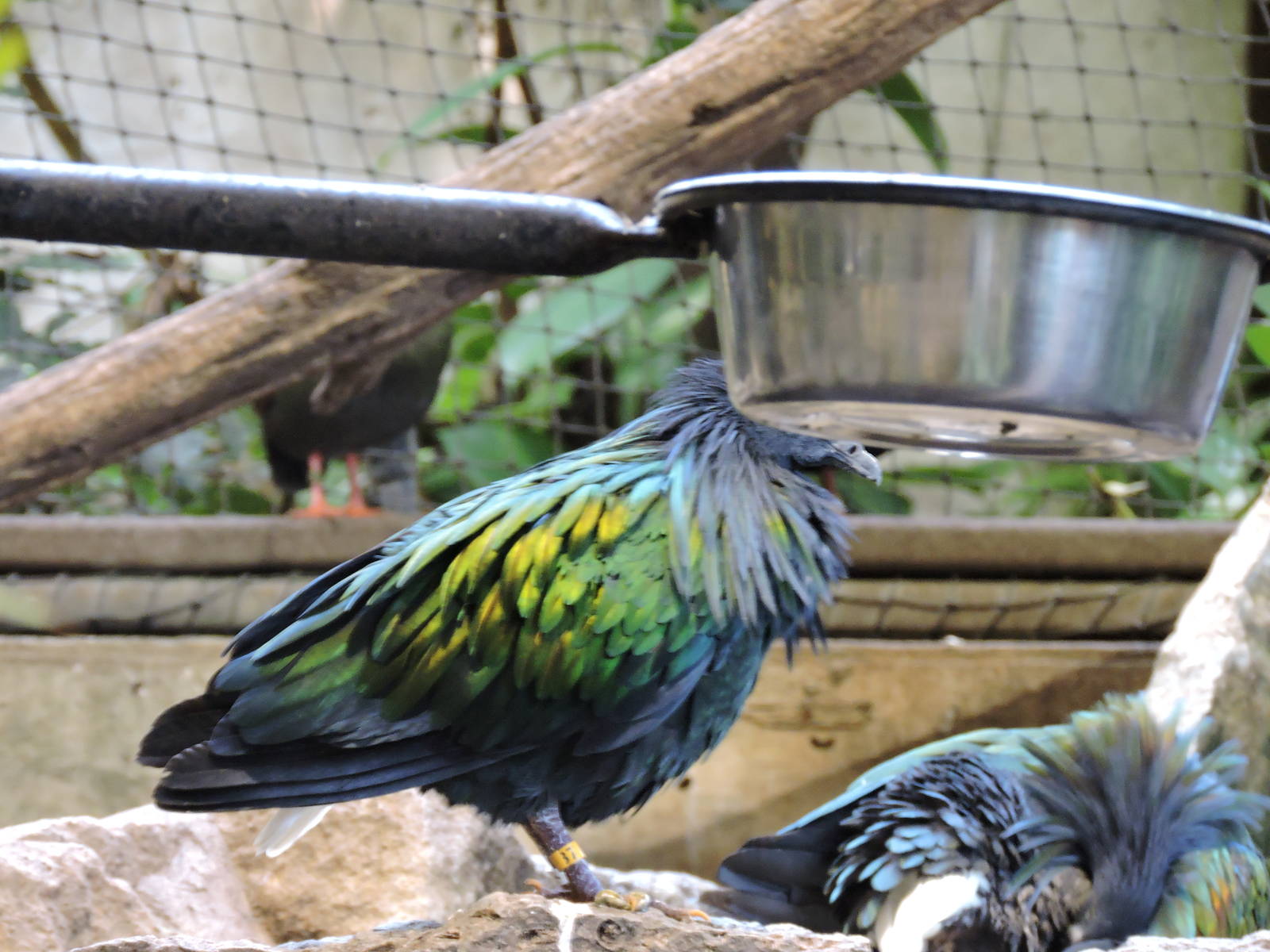 Just loved the colours in the sun