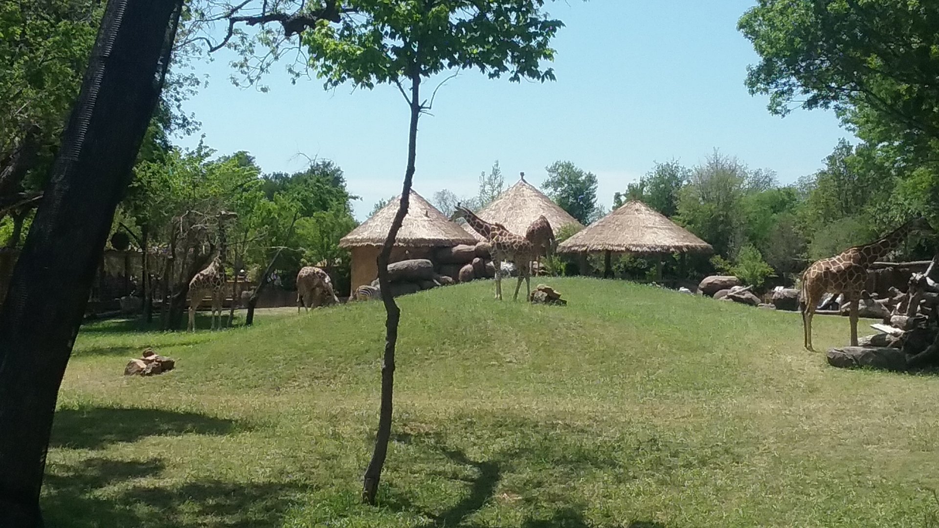 Just one more picture...