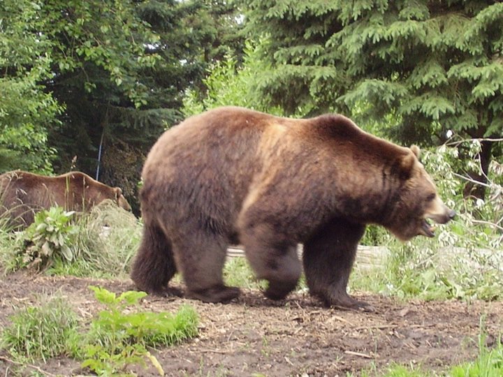 Just passing through...