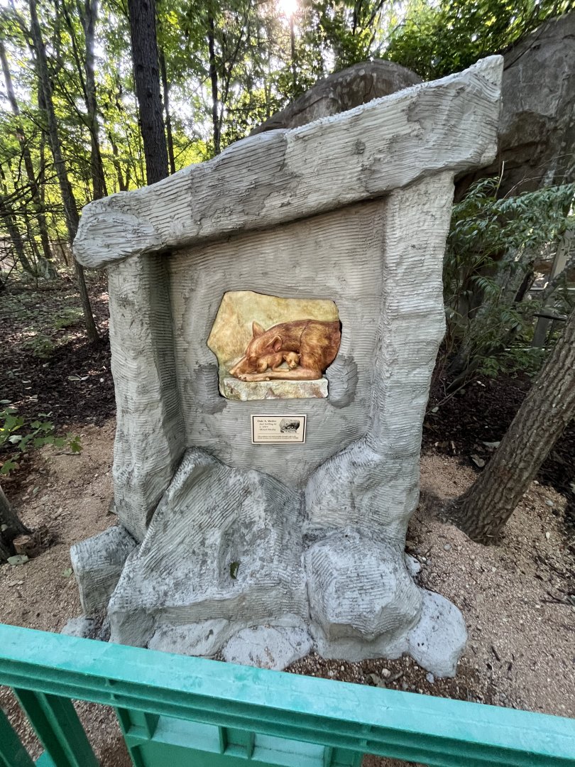 “Just Settling In” Red Wolf Art Installation