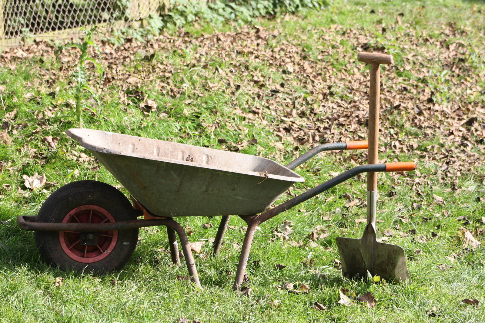 Just time to sweep some leaves, 12th September 2914