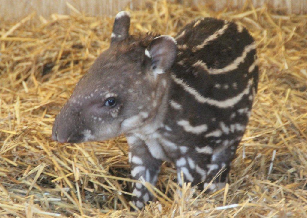 Just wait until I grow up!