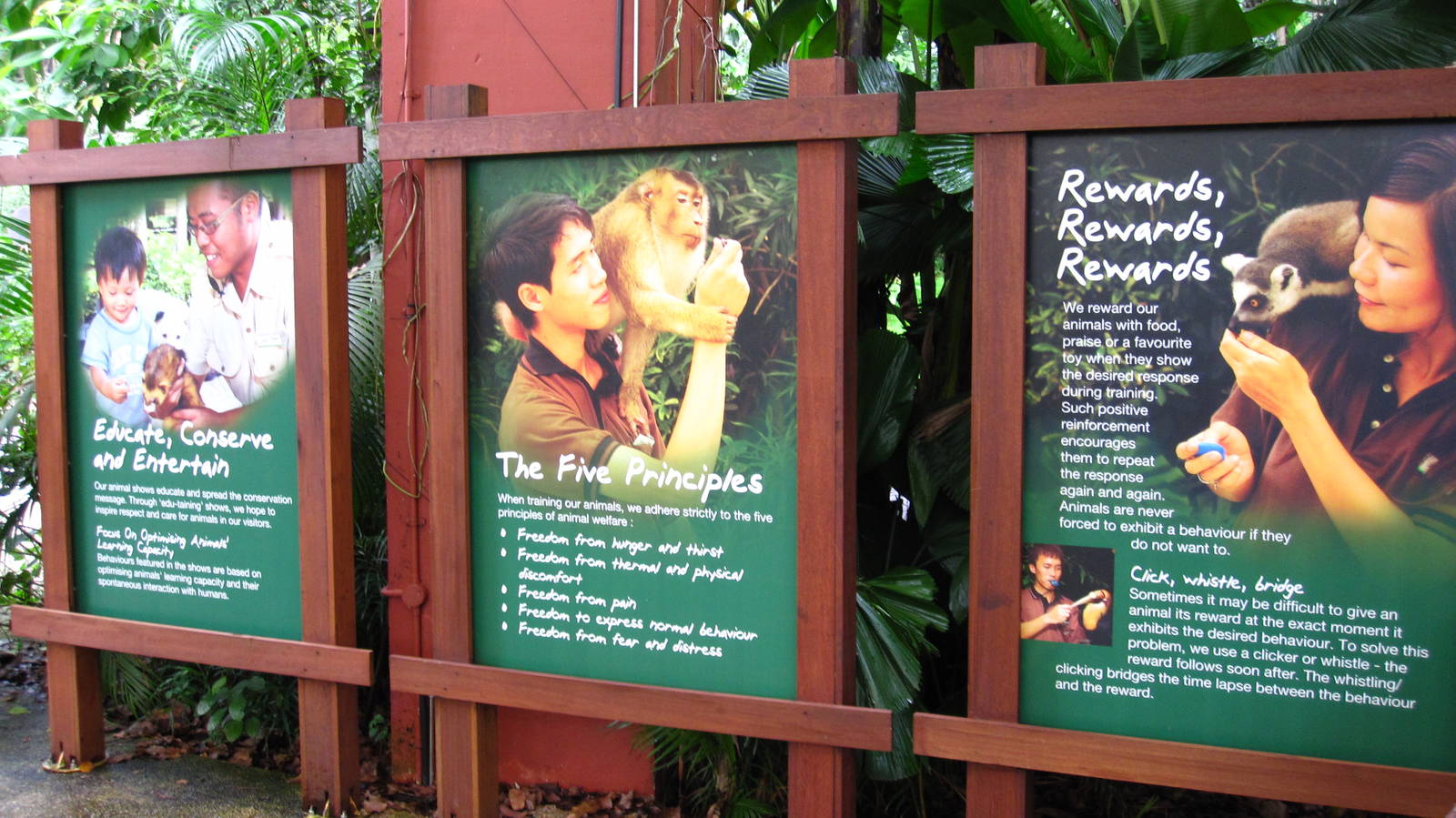 Justifying Animal Shows