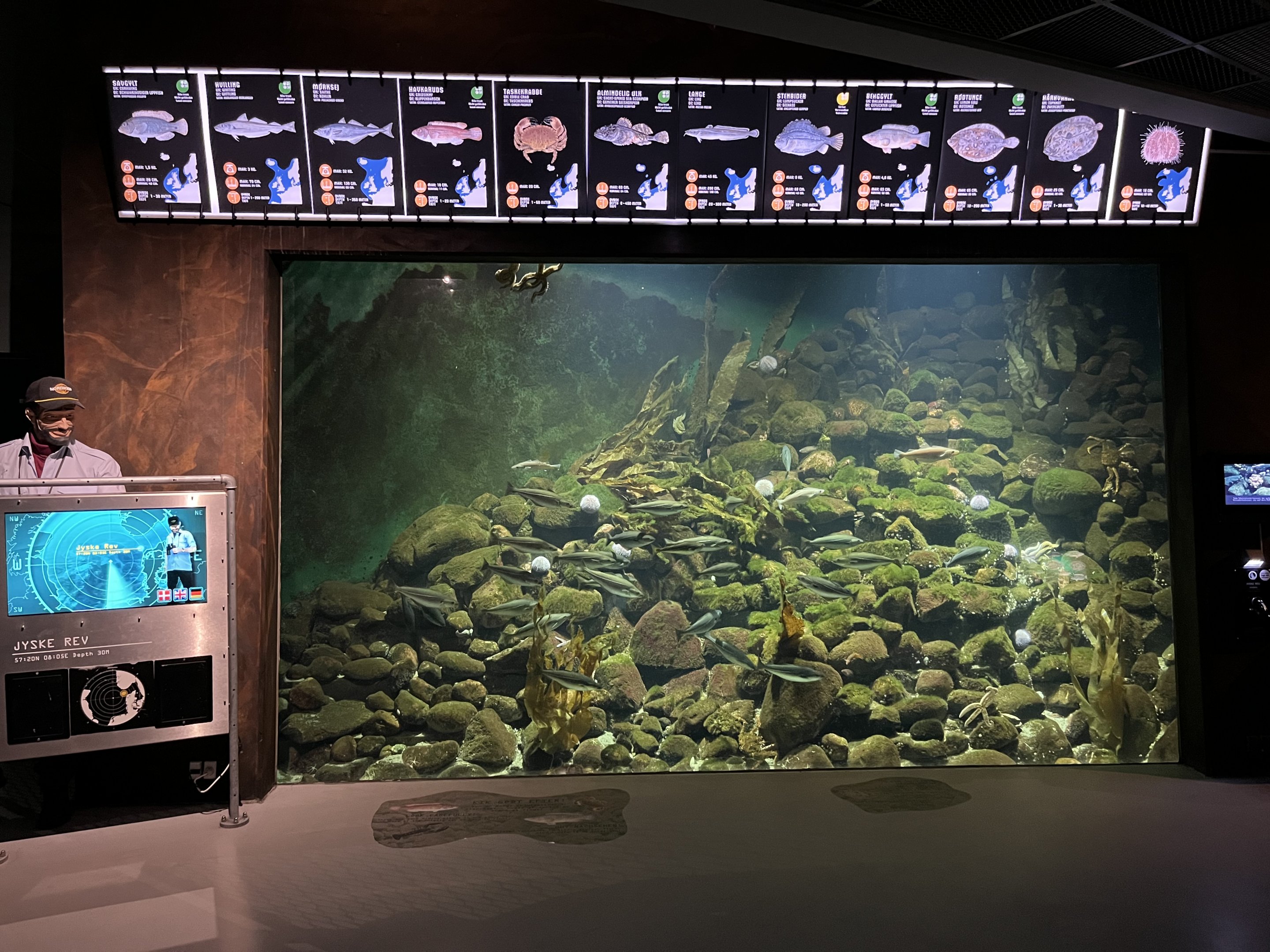 Jutland Reef Tank