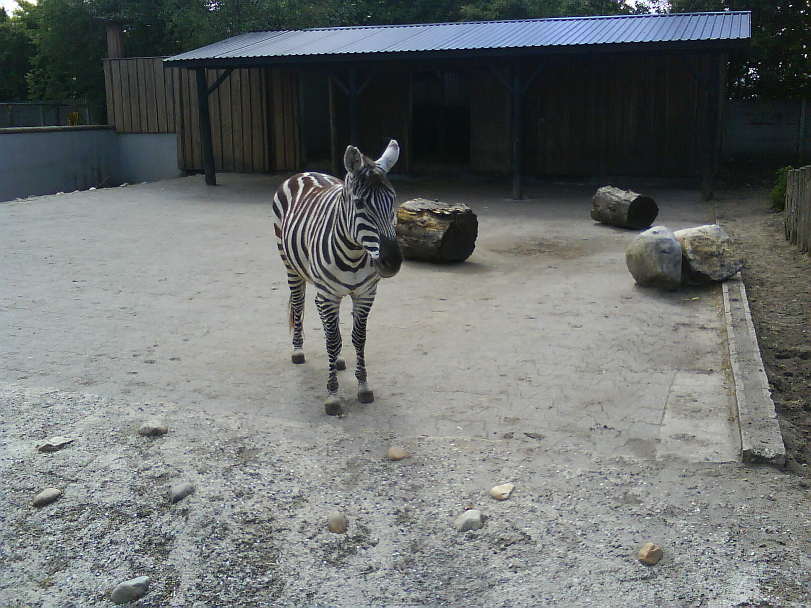 Jutland's Park Zoo