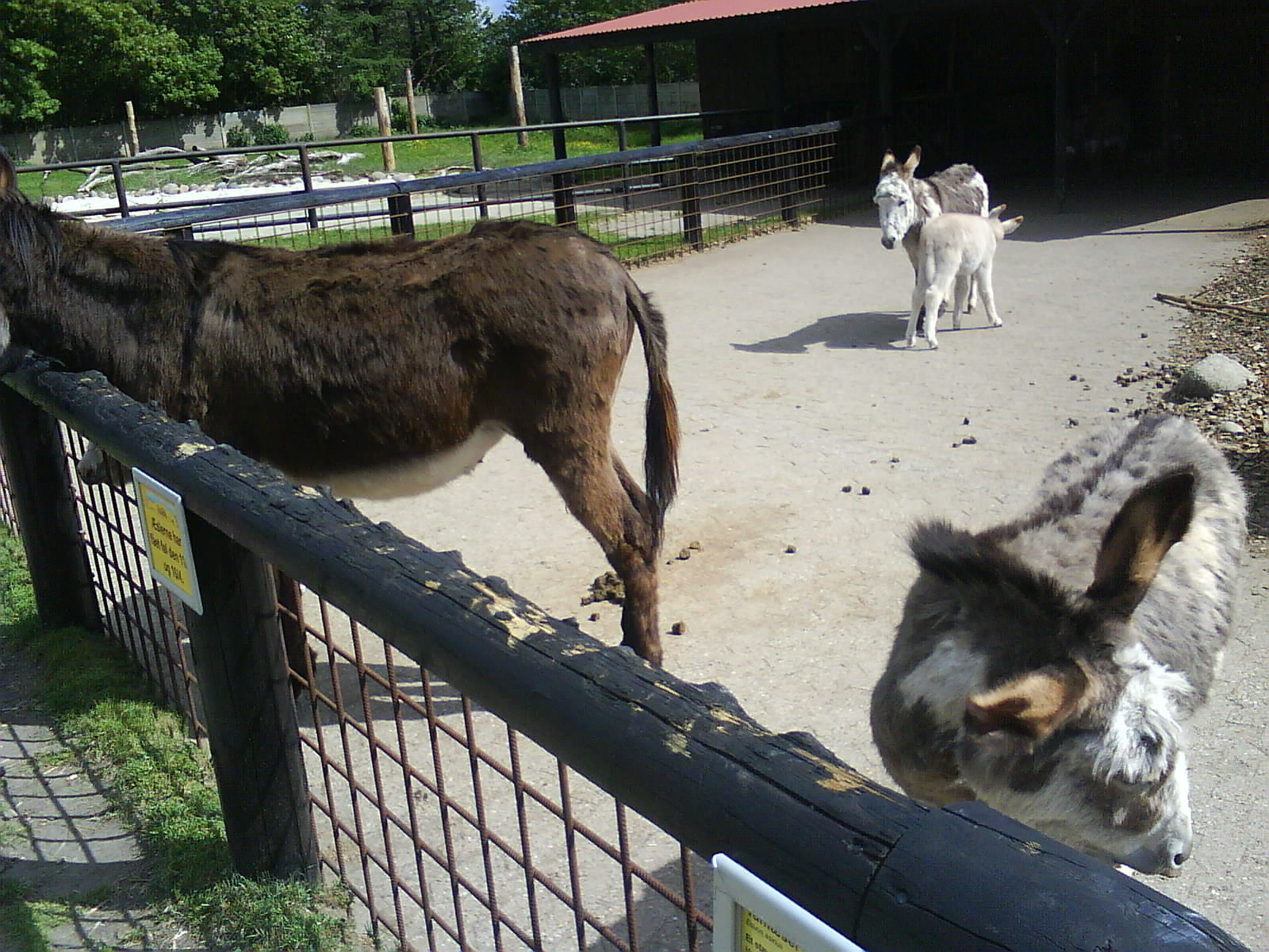 Jutland's Park Zoo