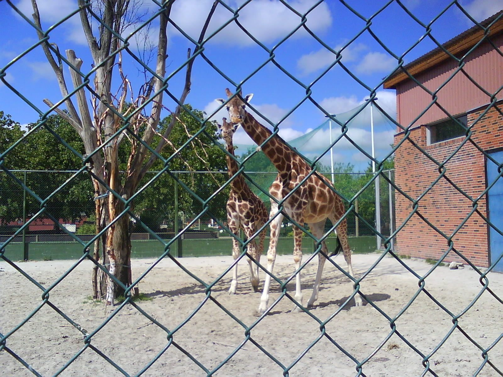 Jutland's Park Zoo