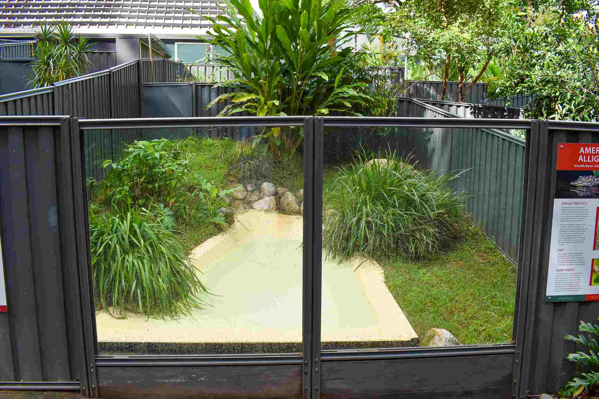 Juvenile Alligator Enclosure