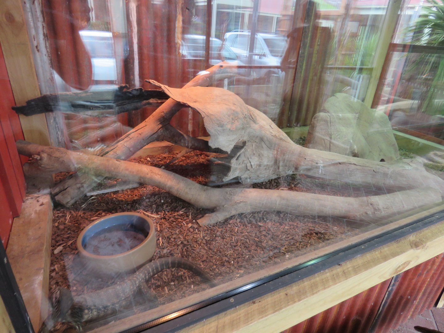 Juvenile Monitor Exhibit