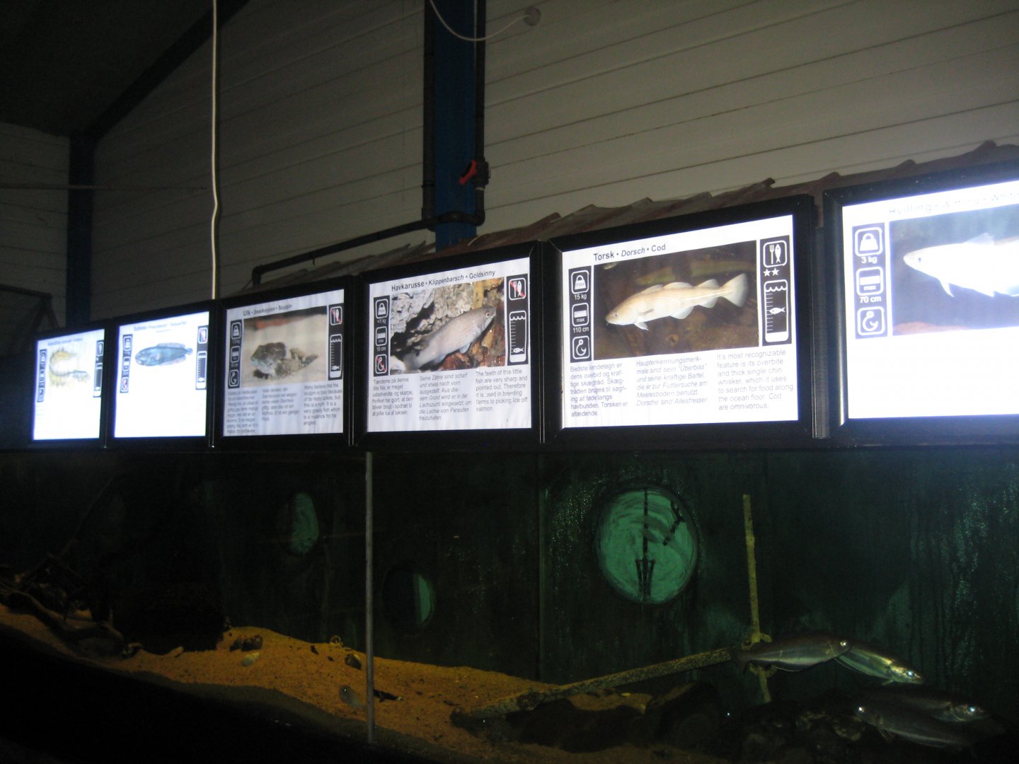 JyllandsAkvariet - Mixed tank