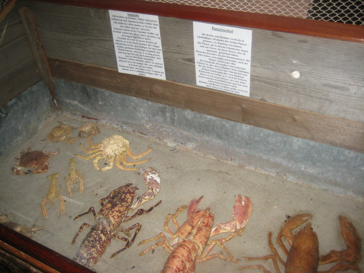 JyllandsAkvariet - Shell exhibition