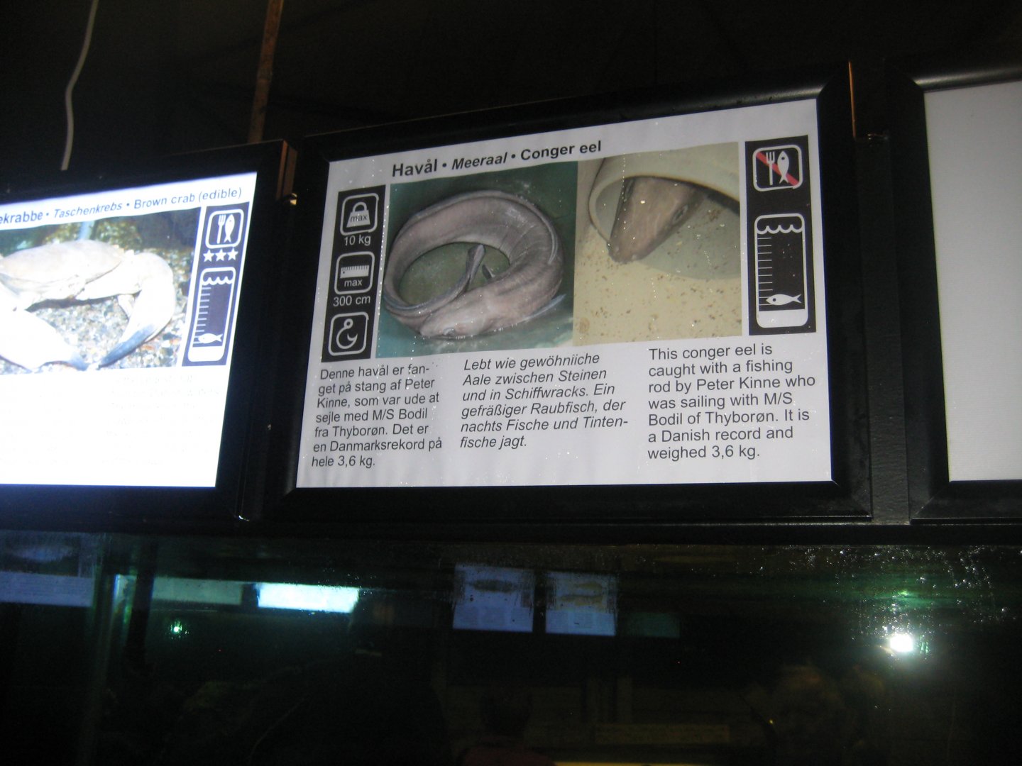 JyllandsAkvariet - Signage example