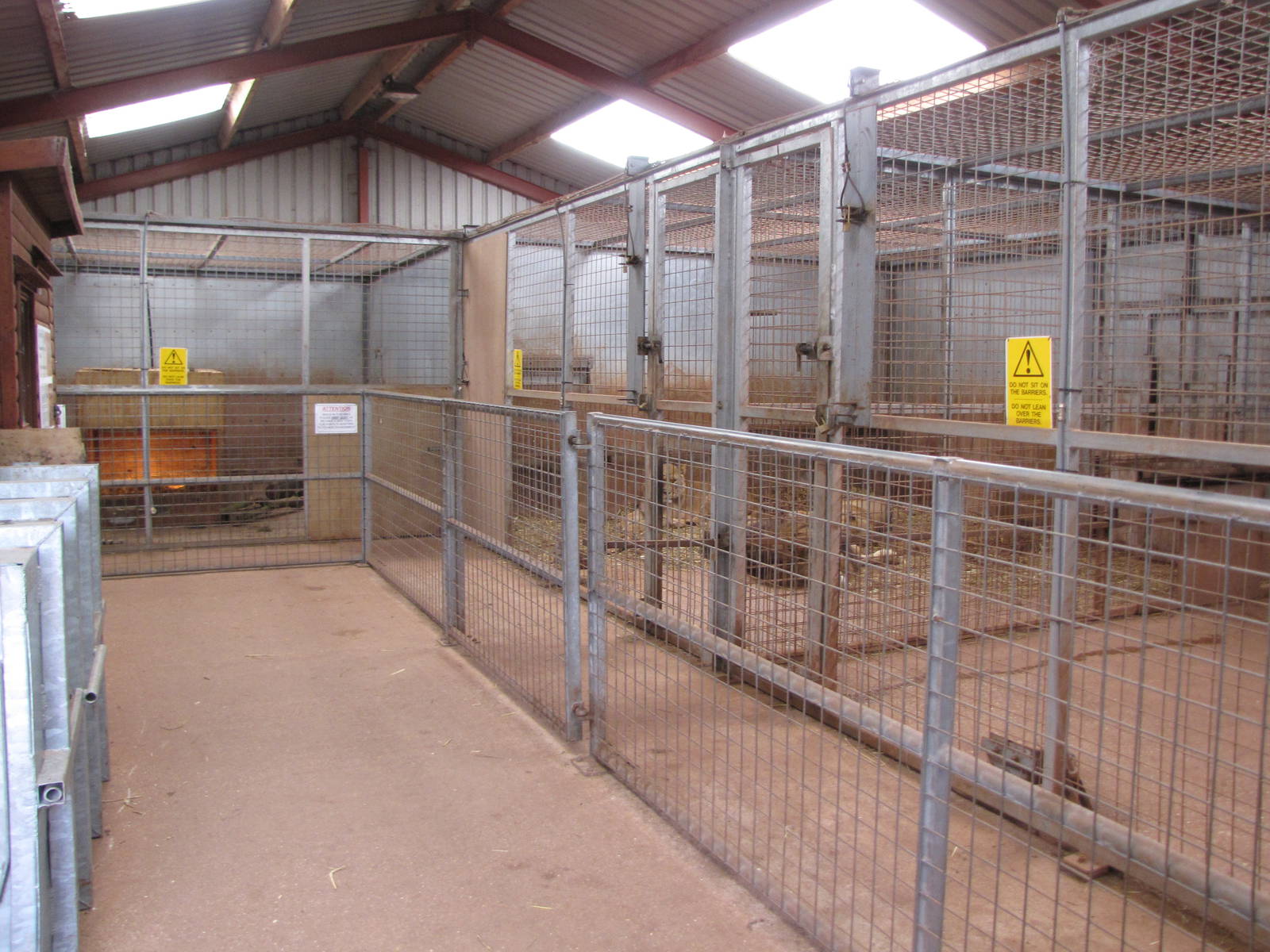 Kadi and lion indoor enclosures