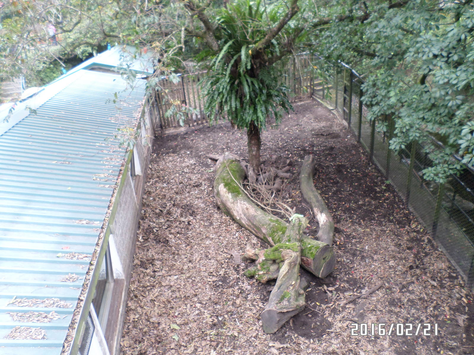 Kadoorie Farm-wild boar exhibit