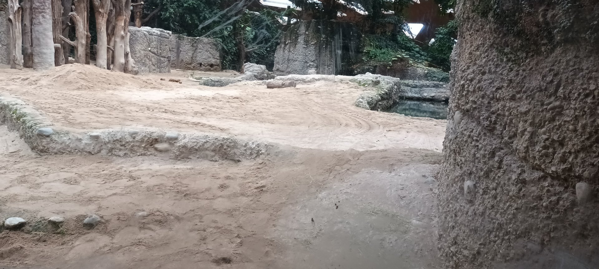 Kaeng Krachan Elephant Park Asian Elephant indoor Enclosure