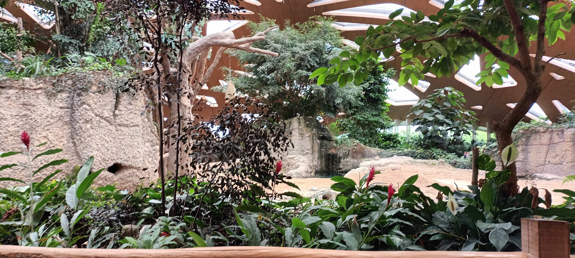 Kaeng Krachan Elephant Park General View