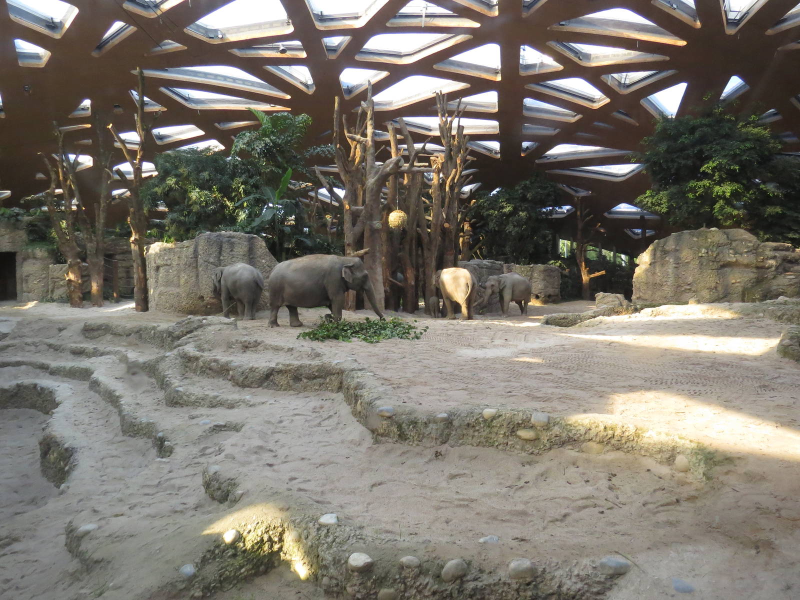 Kaeng Krachan elephant park, October 2014.