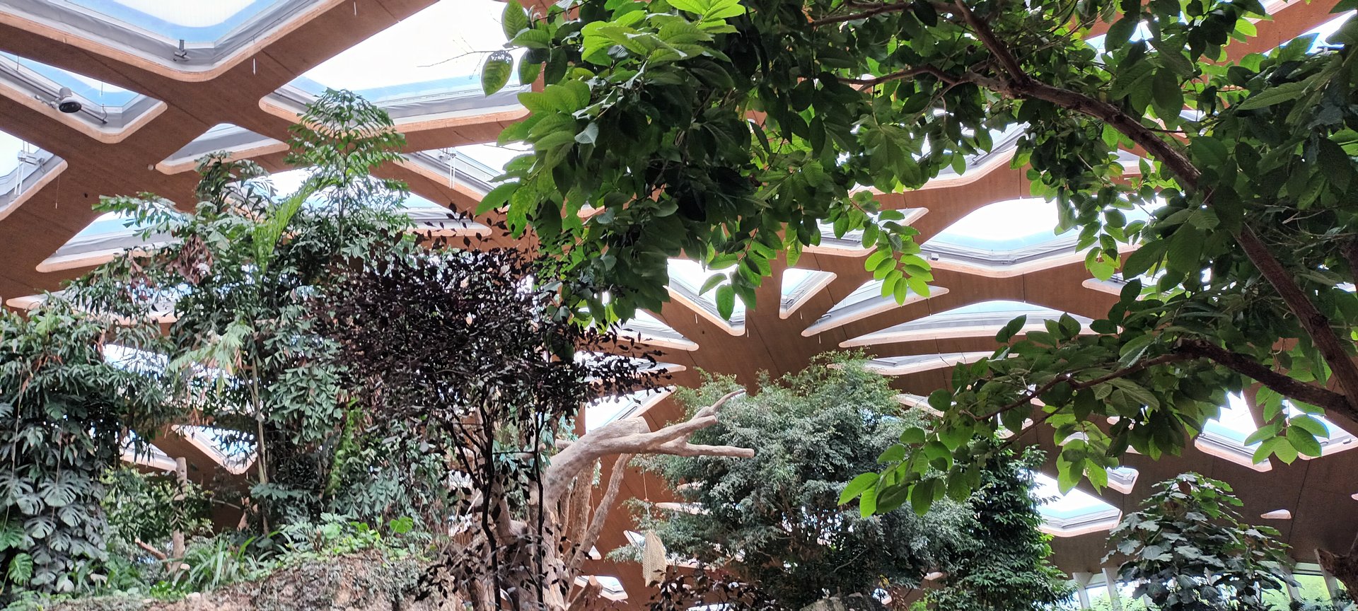 Kaeng Krachan Elephant Park Roof