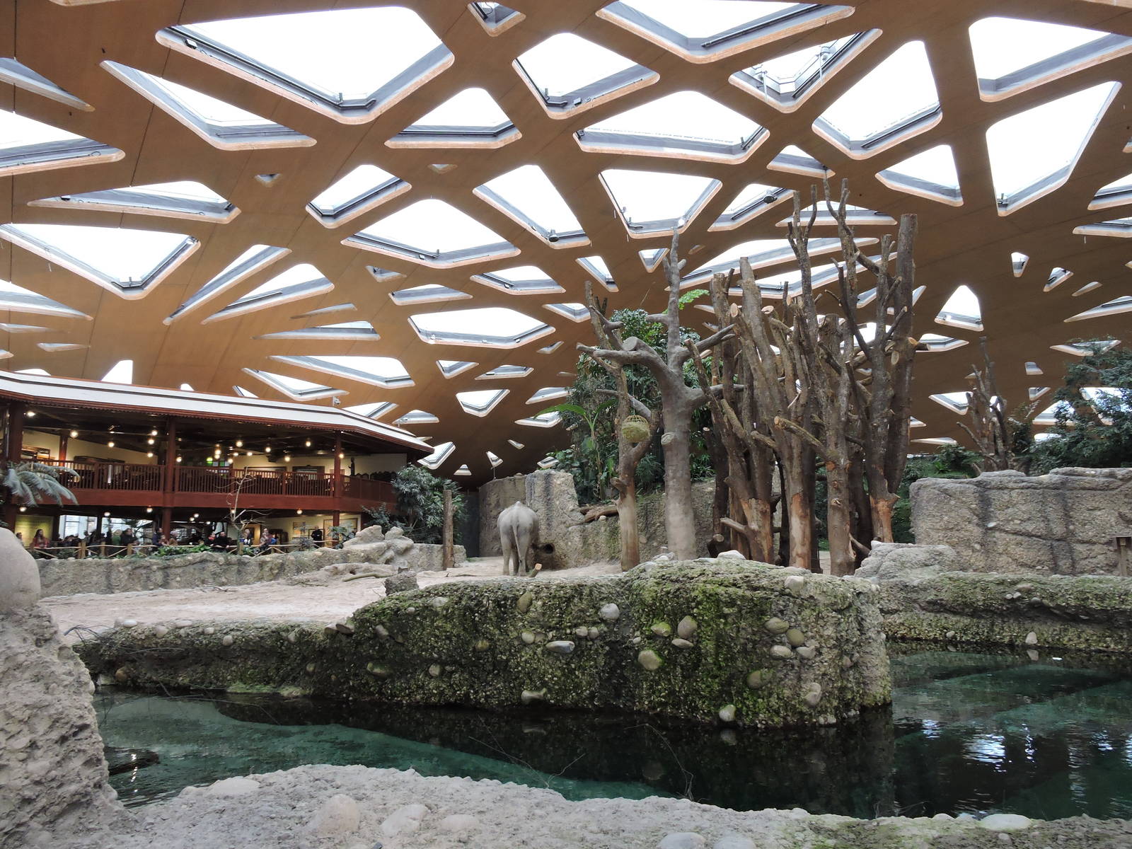 Kaeng Krachan Elephant Park