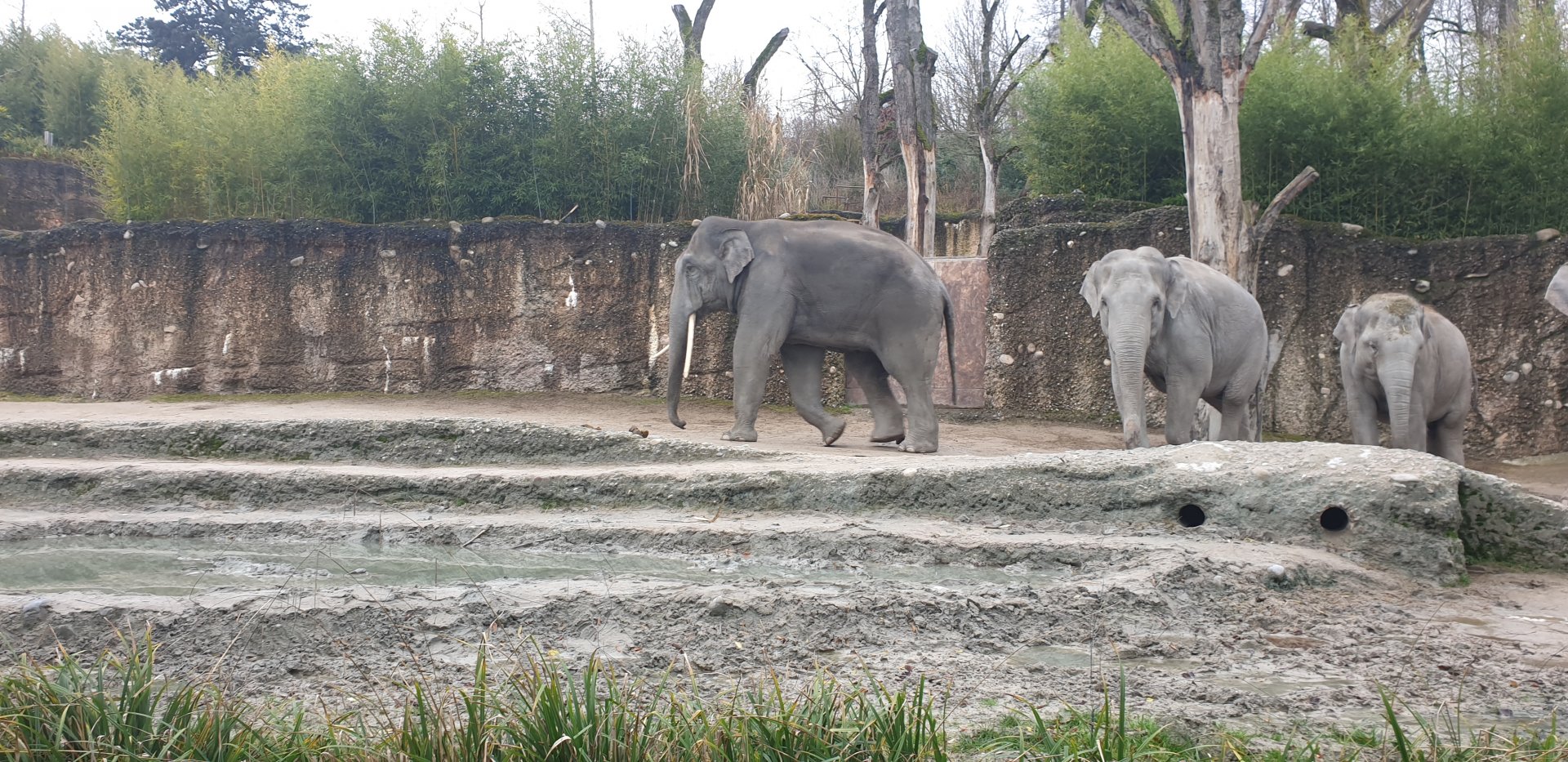 Kaeng Krachan Elephant Park