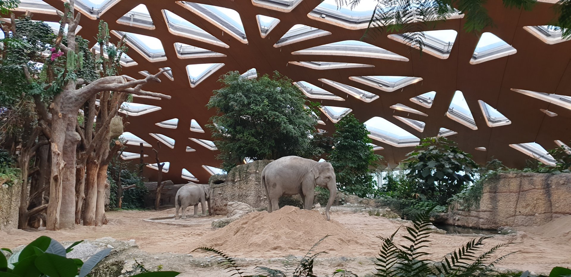 Kaeng Krachan Elephant Park