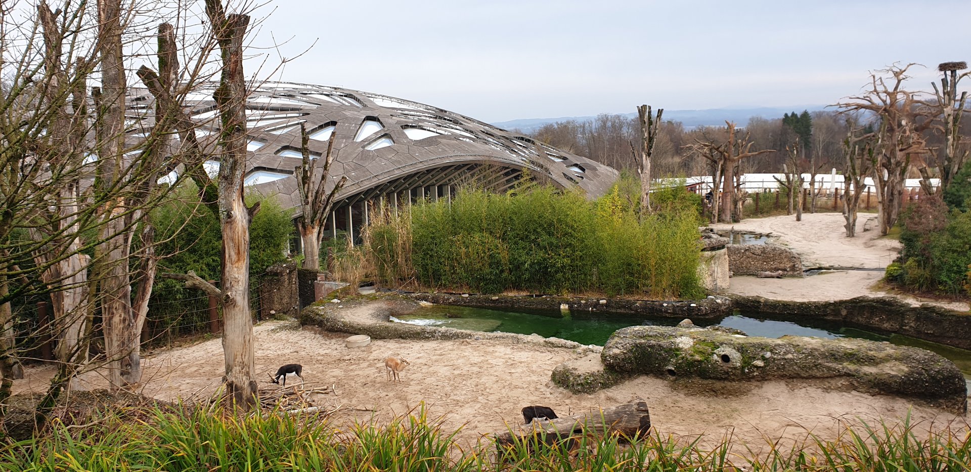 Kaeng Krachan Elephant Park