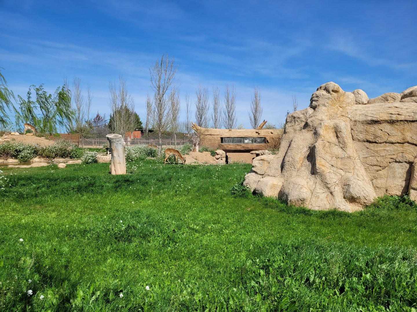 Kafue flats lechwe and Grant's zebra exhibit -Tierra Rapaz (2024)