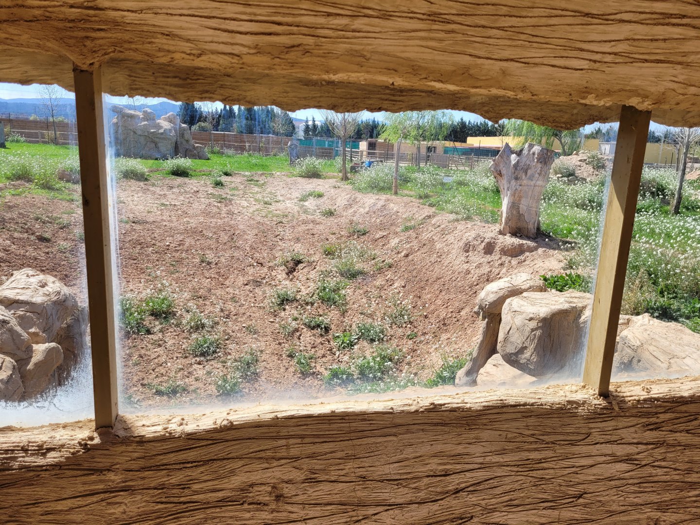 Kafue flats lechwe and Grant's zebra exhibit -Tierra Rapaz (2024)