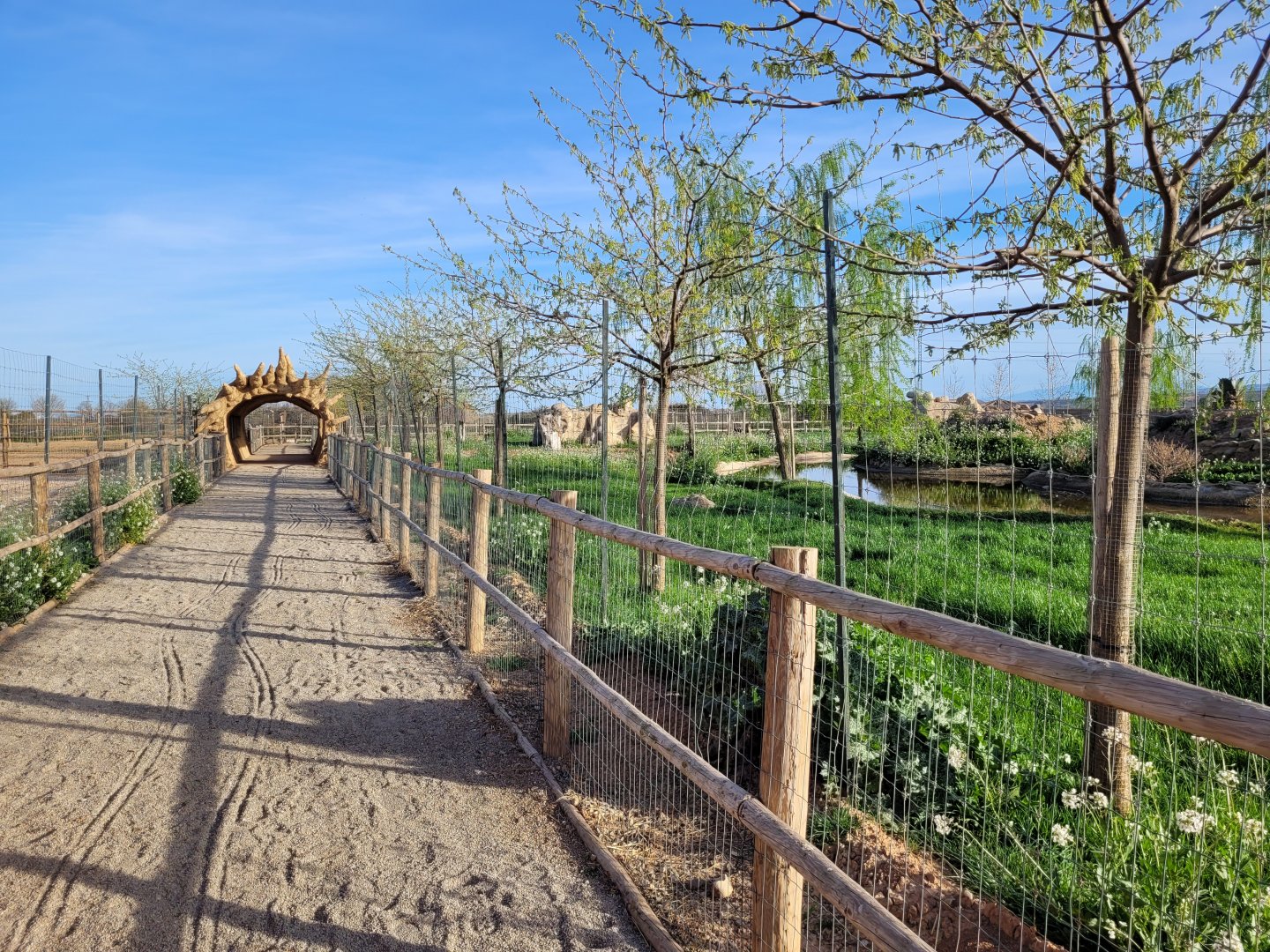 Kafue flats lechwe and Grant's zebra exhibit view -Tierra Rapaz (2024)