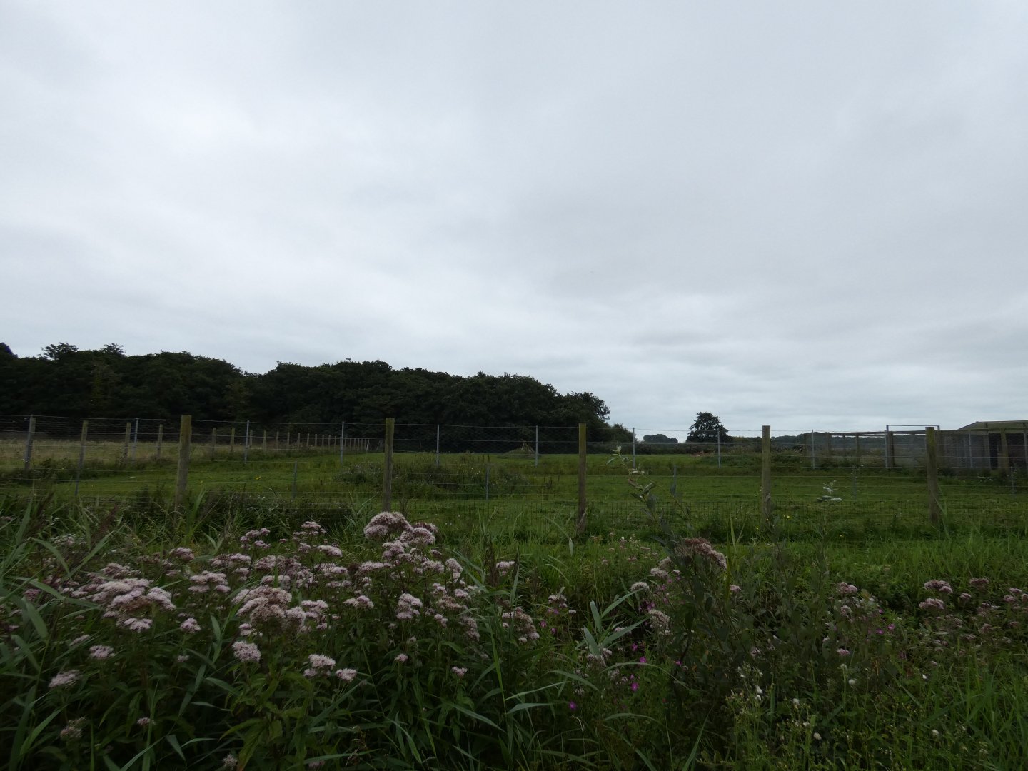 Kafue flats lechwe enclosure
