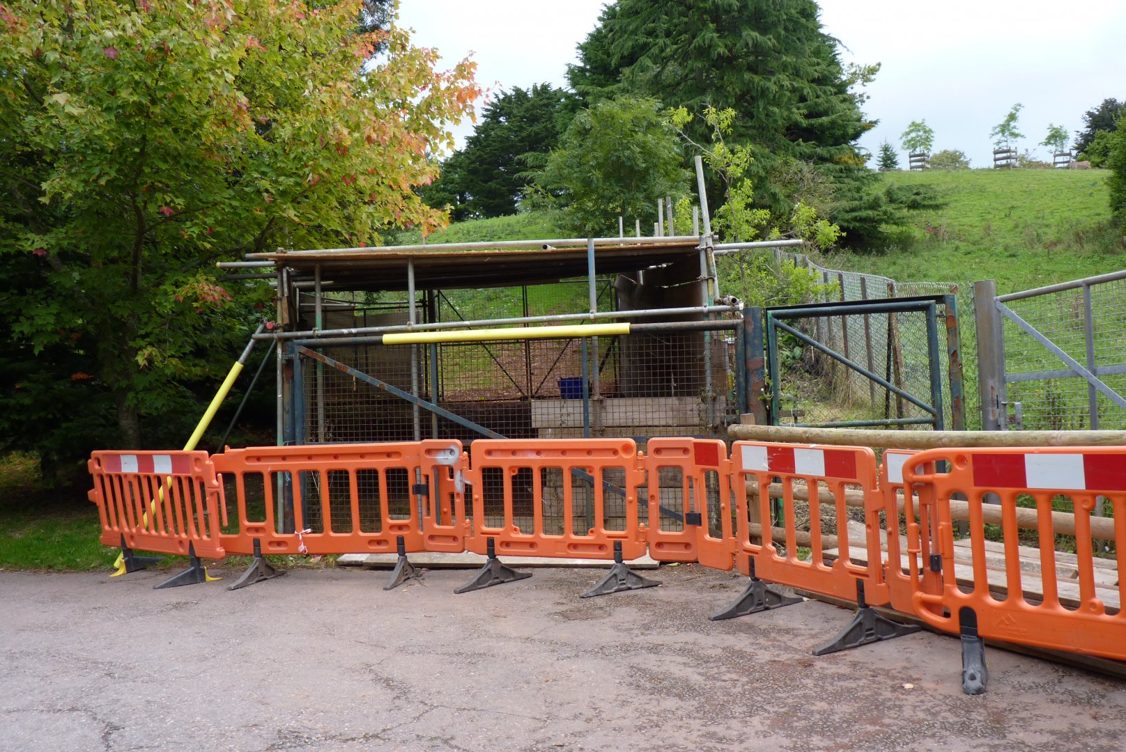 Kafue Flats Lechwe paddock, September 2017