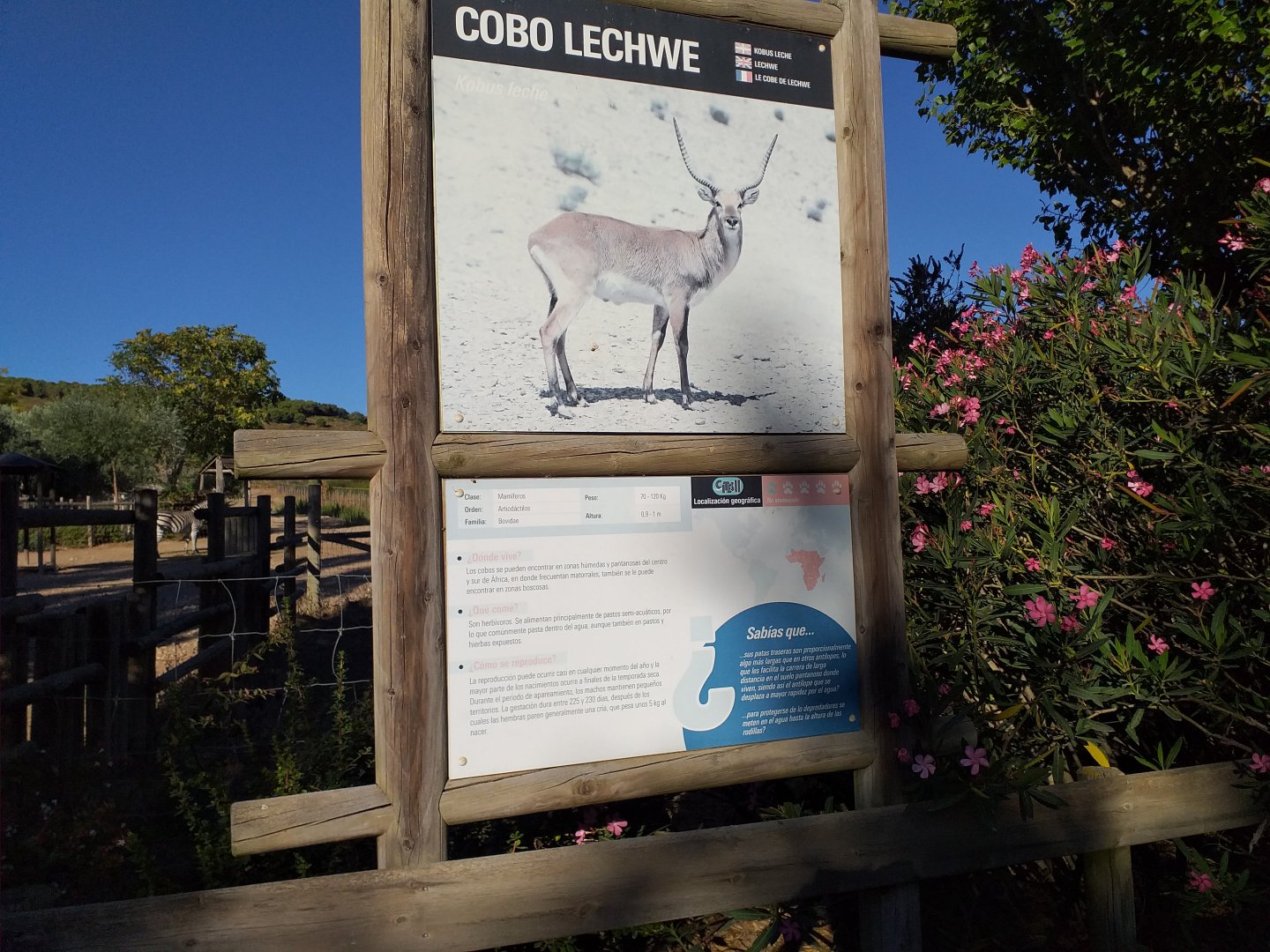 Kafue flats lechwe sign -Sendaviva (2020)