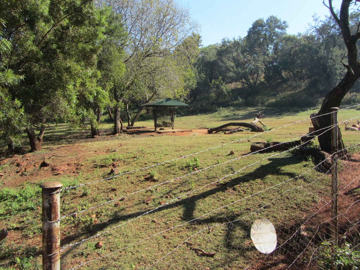 Kafue Flats Lechwe Yard