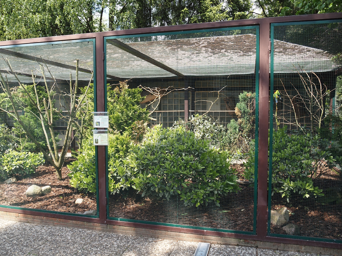 Kagu and Horned parakeet aviary, 2024-05-23