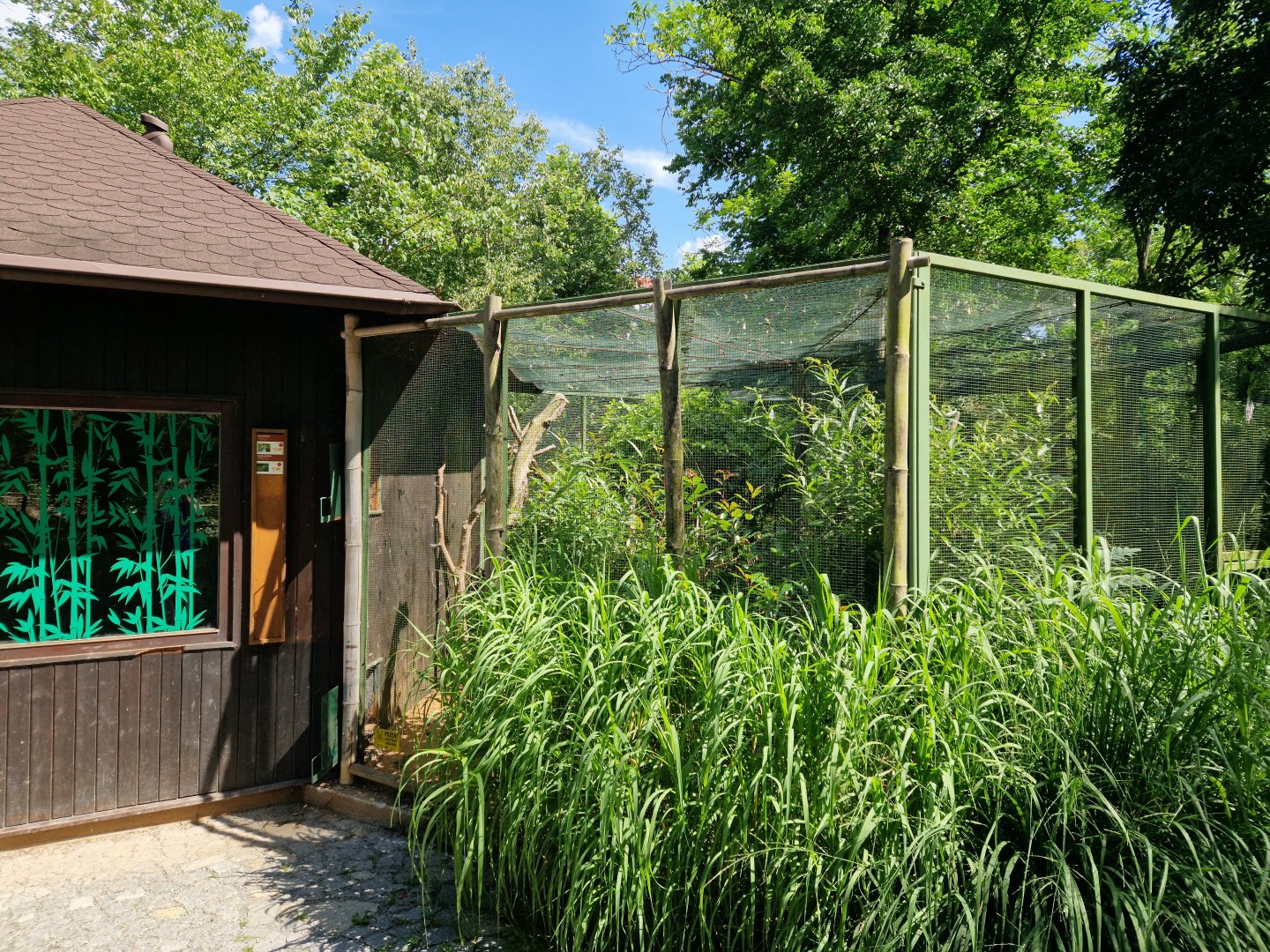 Kagu and horned parakeet aviary