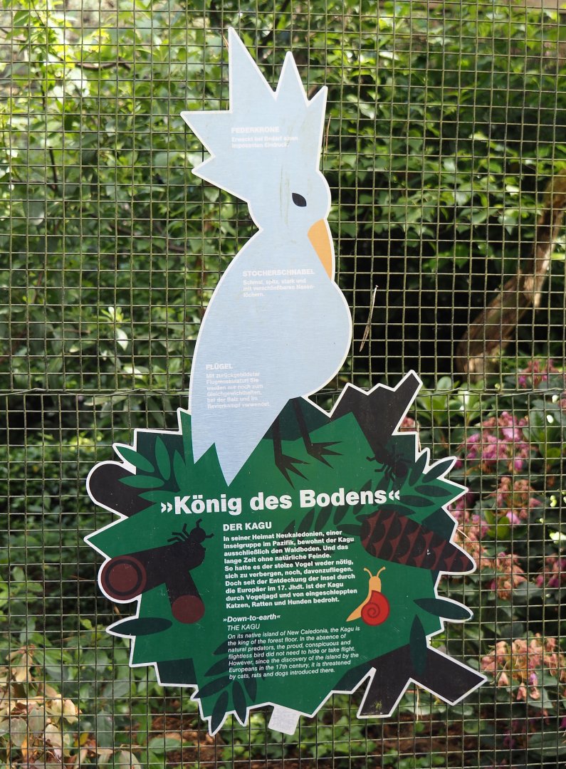 Kagu signage, 2024-05-23