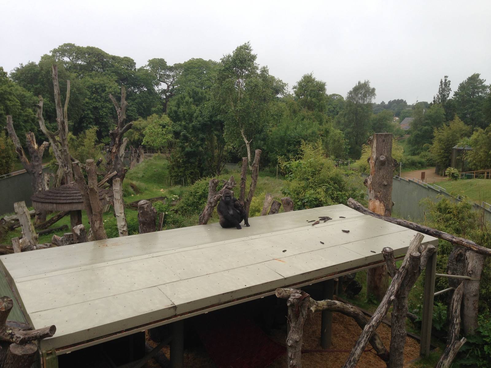 Kahilli and Indi atop Badongo's 'man cave'