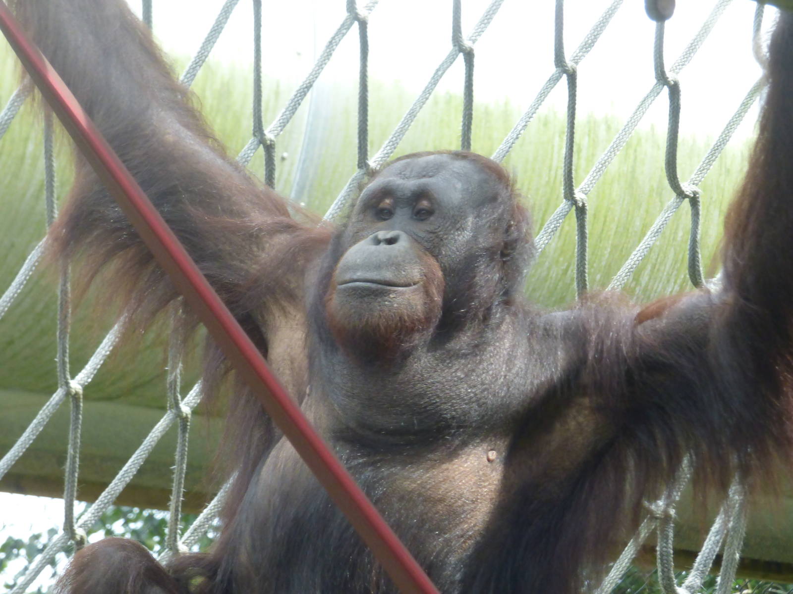 Kai before move to Spain