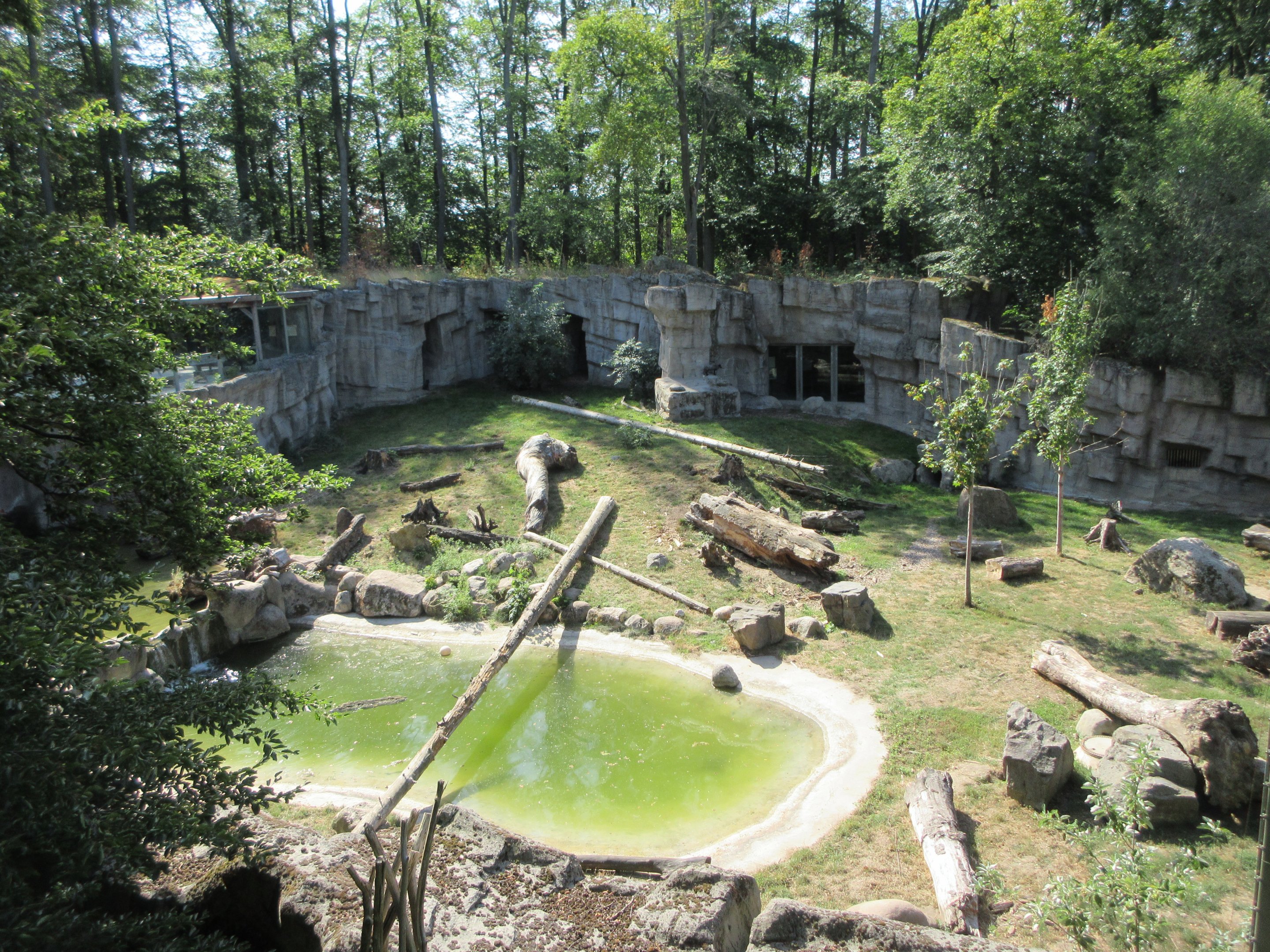 Kajanaland - Hybrid Bear + Silver Fox Exhibit