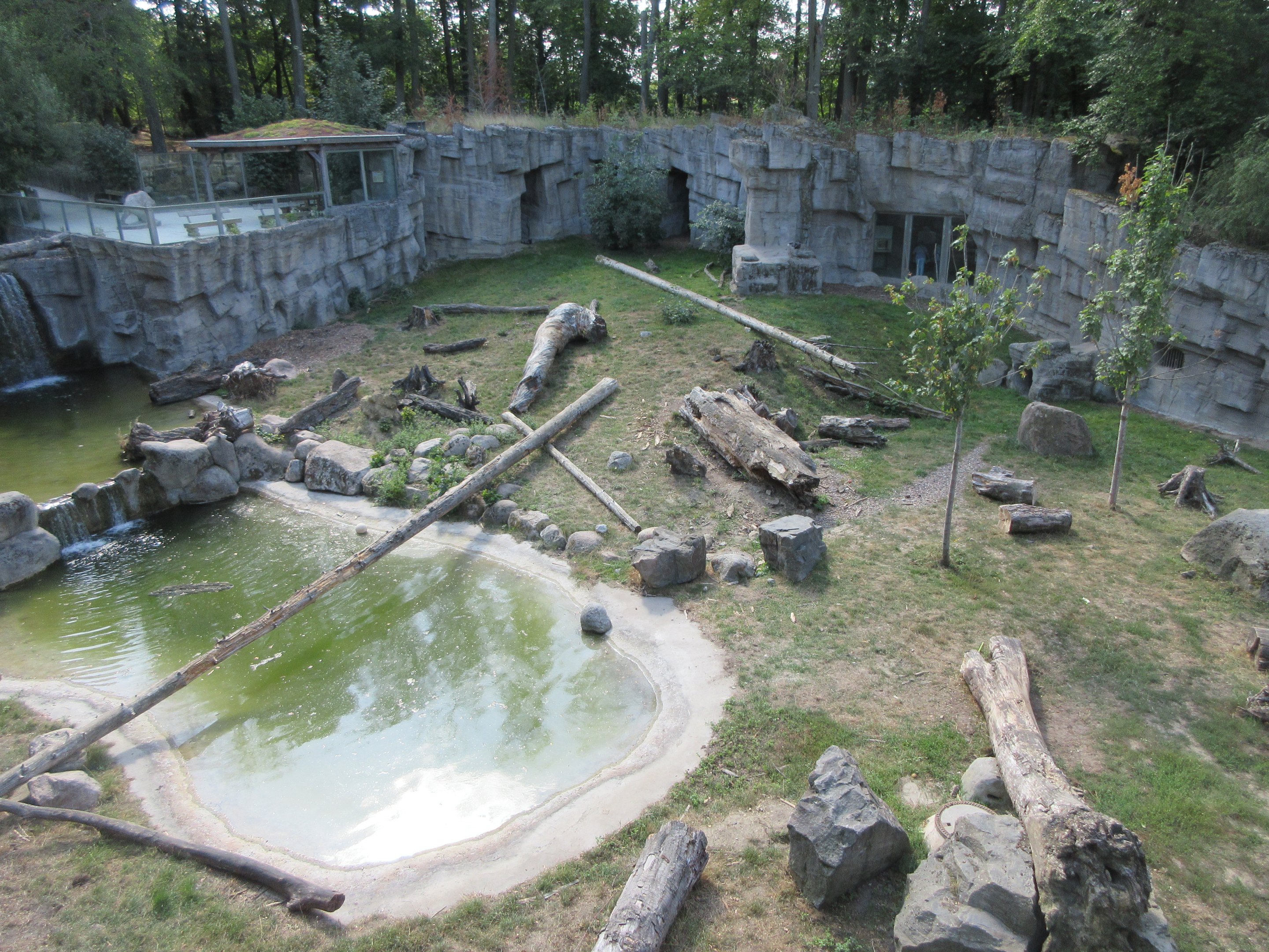 Kajanaland - Hybrid Bear + Silver Fox Exhibit