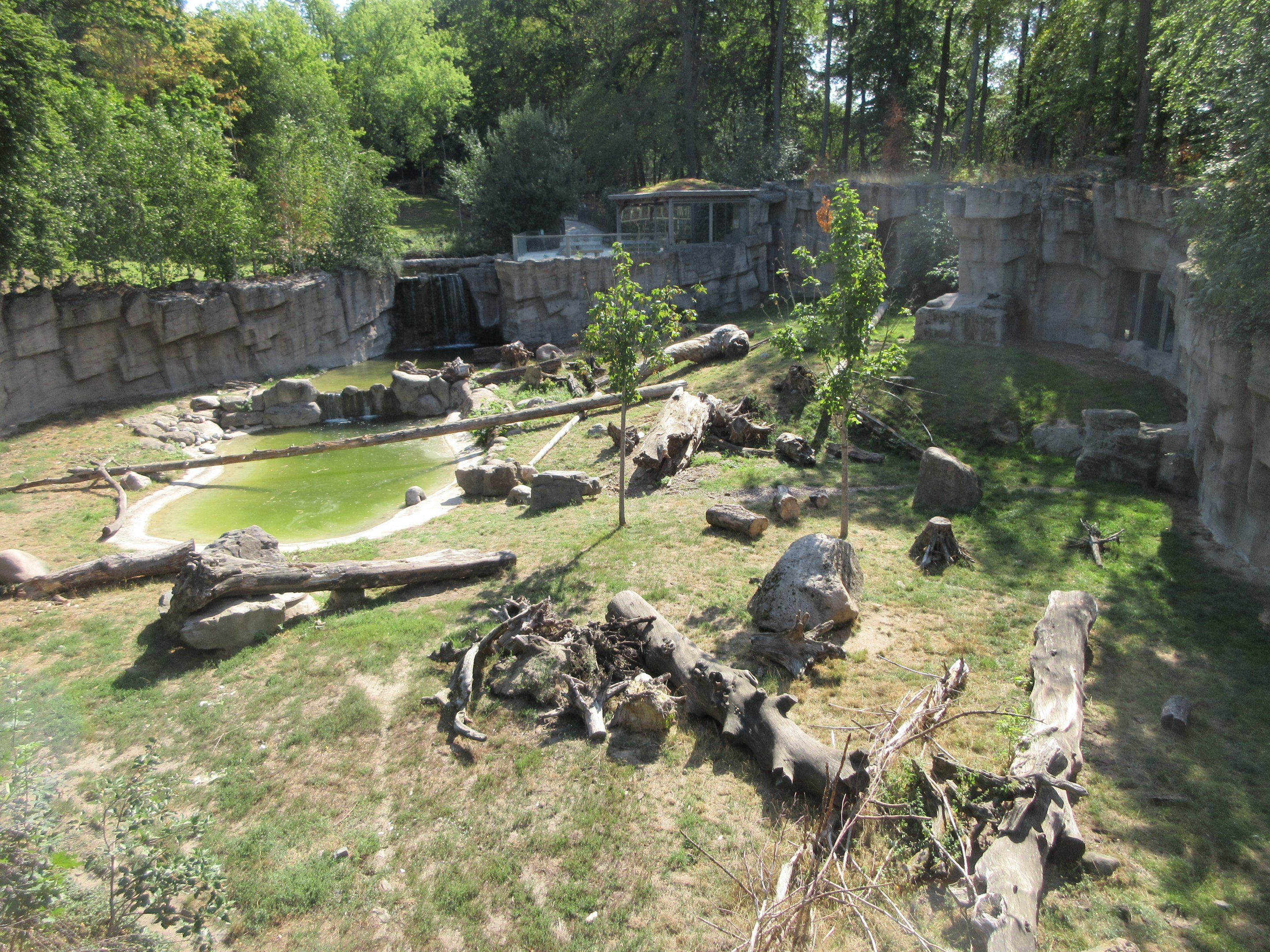Kajanaland - Hybrid Bear + Silver Fox Exhibit